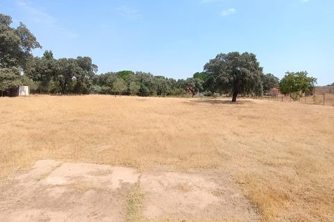 Landejendom i Badajoz, Badajoz, Badajoz - € 195.000 | Ref: 2026-164/12527 - foto 28
