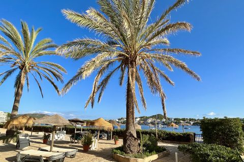 Apartament a Santa Ponsa, Mallorca, Santa Ponsa - € 2.500/mes | Ref: R23697 - foto 22