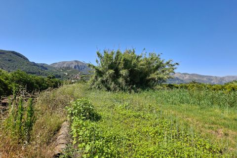 Grond in Pego, Alicante - foto 5