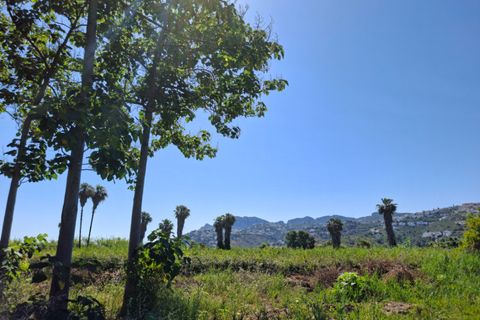 Grond in Pego, Alicante, Pego - € 45.000 | Ref: N4249 - foto 7