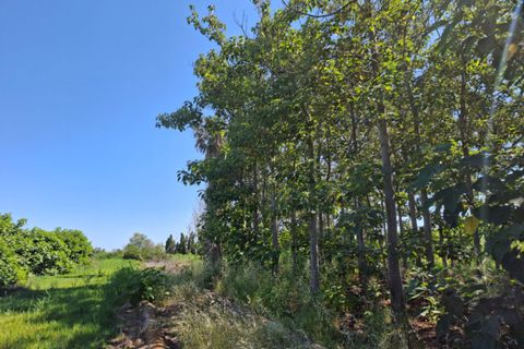 Grond in Pego, Alicante, Pego - € 45.000 | Ref: N4249 - foto 10