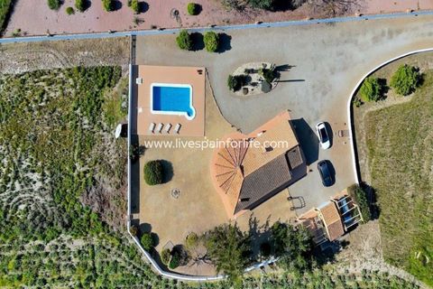 Landejendom i Dolores, Alicante, Dolores - € 375.000 | Ref: DOL CM - foto 25