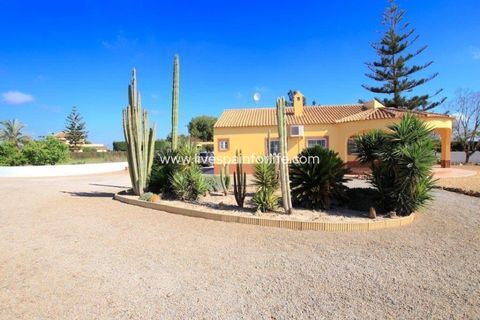 Landejendom i Dolores, Alicante, Dolores - € 375.000 | Ref: DOL CM - foto 38