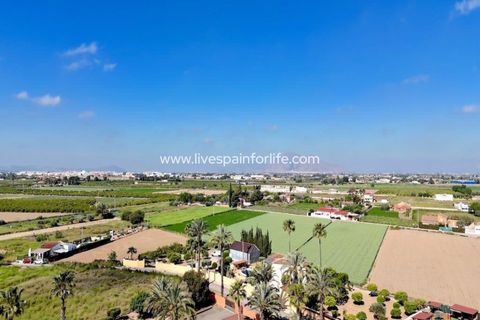 Landejendom i Dolores, Alicante, Dolores - € 375.000 | Ref: DOL CM - foto 48