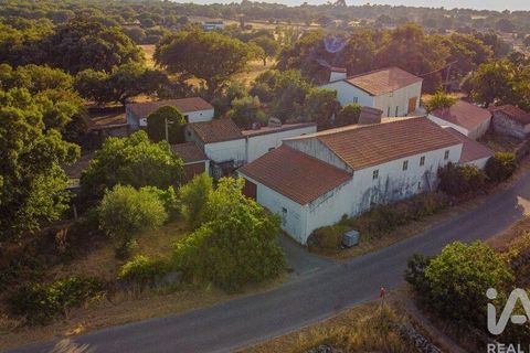 Farm i Castelo de Vide, Portalegre, Castelo de Vide - € 580.000 | Ref: 972286 - foto 1