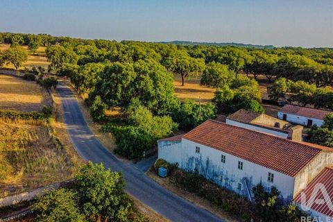 Farm i Castelo de Vide, Portalegre, Castelo de Vide - € 580.000 | Ref: 972286 - foto 2