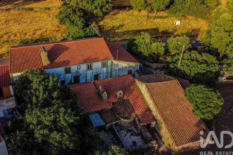 Farm i Castelo de Vide, Portalegre, Castelo de Vide - € 580.000 | Ref: 972286 - foto 3