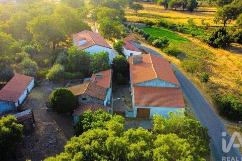 Farm i Castelo de Vide, Portalegre, Castelo de Vide - € 580.000 | Ref: 972286 - foto 4