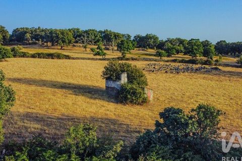 Farm i Castelo de Vide, Portalegre, Castelo de Vide - € 580.000 | Ref: 972286 - foto 5