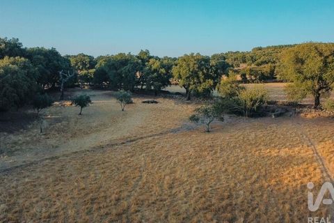 Farm i Castelo de Vide, Portalegre, Castelo de Vide - € 580.000 | Ref: 972286 - foto 6