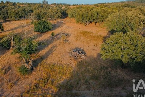 Farm i Castelo de Vide, Portalegre, Castelo de Vide - € 580.000 | Ref: 972286 - foto 8
