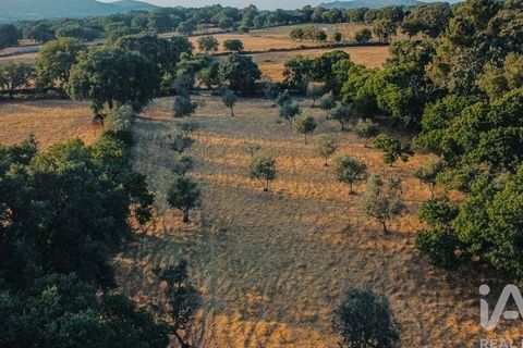 Farm i Castelo de Vide, Portalegre, Castelo de Vide - € 580.000 | Ref: 972286 - foto 10
