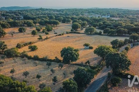 Farm i Castelo de Vide, Portalegre, Castelo de Vide - € 580.000 | Ref: 972286 - foto 11