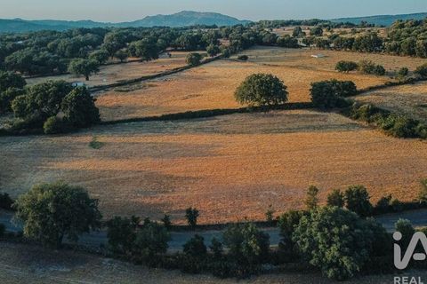 Farm i Castelo de Vide, Portalegre, Castelo de Vide - € 580.000 | Ref: 972286 - foto 12
