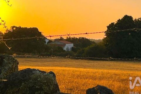 Farm i Castelo de Vide, Portalegre, Castelo de Vide - € 580.000 | Ref: 972286 - foto 13