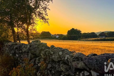 Farm i Castelo de Vide, Portalegre, Castelo de Vide - € 580.000 | Ref: 972286 - foto 15