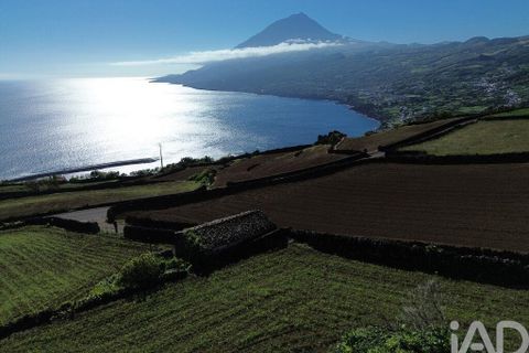 Helårsgrund i Lajes do Pico, Pico, Lajes do Pico - € 85.000 | Ref: 951756 - foto 1