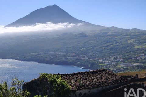 Helårsgrund i Lajes do Pico, Pico, Lajes do Pico - € 85.000 | Ref: 951756 - foto 2