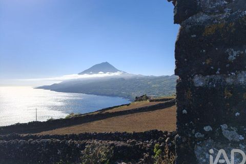 Helårsgrund i Lajes do Pico, Pico, Lajes do Pico - € 85.000 | Ref: 951756 - foto 3