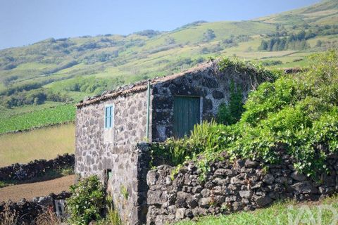 Helårsgrund i Lajes do Pico, Pico, Lajes do Pico - € 85.000 | Ref: 951756 - foto 5