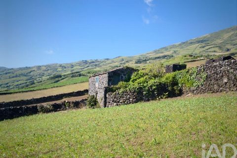 Helårsgrund i Lajes do Pico, Pico, Lajes do Pico - € 85.000 | Ref: 951756 - foto 6