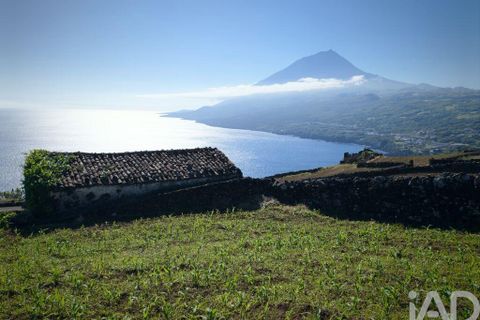 Helårsgrund i Lajes do Pico, Pico, Lajes do Pico - € 85.000 | Ref: 951756 - foto 7