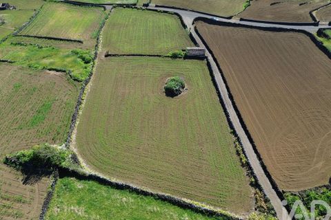 Helårsgrund i Lajes do Pico, Pico, Lajes do Pico - € 85.000 | Ref: 951756 - foto 8