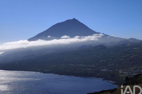 Helårsgrund i Lajes do Pico, Pico, Lajes do Pico - € 85.000 | Ref: 951756 - foto 9