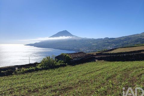 Helårsgrund i Lajes do Pico, Pico, Lajes do Pico - € 85.000 | Ref: 951756 - foto 10