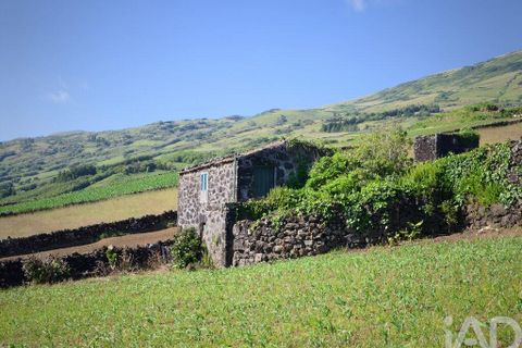 Helårsgrund i Lajes do Pico, Pico, Lajes do Pico - € 85.000 | Ref: 951756 - foto 11