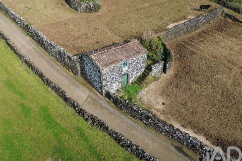 Helårsgrund i Lajes do Pico, Pico, Lajes do Pico - € 85.000 | Ref: 951756 - foto 12