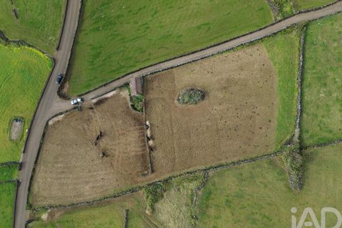 Helårsgrund i Lajes do Pico, Pico, Lajes do Pico - € 85.000 | Ref: 951756 - foto 13