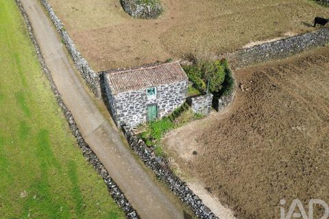 Helårsgrund i Lajes do Pico, Pico, Lajes do Pico - € 85.000 | Ref: 951756 - foto 14