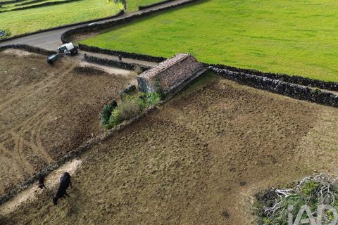 Helårsgrund i Lajes do Pico, Pico, Lajes do Pico - € 85.000 | Ref: 951756 - foto 15