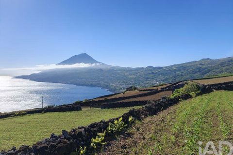 Helårsgrund i Lajes do Pico, Pico, Lajes do Pico - € 85.000 | Ref: 951756 - foto 17