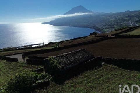 Helårsgrund i Lajes do Pico, Pico, Lajes do Pico - € 85.000 | Ref: 951756 - foto 18