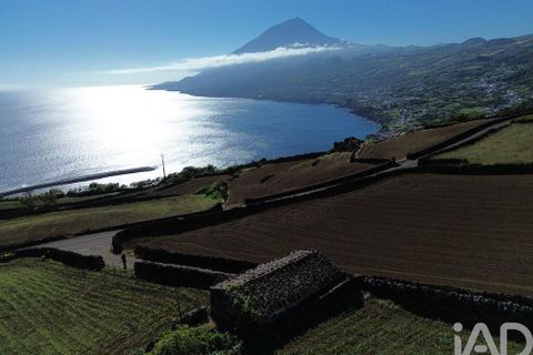Helårsgrund i Lajes do Pico, Pico, Lajes do Pico - € 85.000 | Ref: 951756 - foto 19