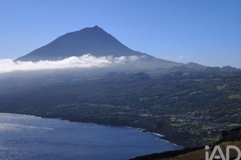 Helårsgrund i Lajes do Pico, Pico, Lajes do Pico - € 85.000 | Ref: 951756 - foto 20