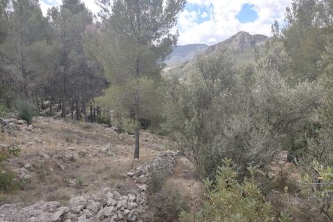 Helårsgrund i Orba, Alicante, Orba - € 65.000 | Ref: 2111 - foto 3
