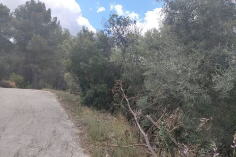 Helårsgrund i Orba, Alicante, Orba - € 65.000 | Ref: 2111 - foto 5