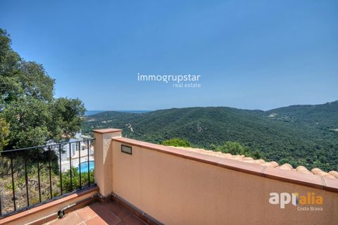 Villa i Calonge, Gerona, Calonge - € 1 290 000 | Ref: 1441 - foto 37