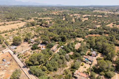Landejendom i Algaida, Mallorca, Algaida - € 399.900 | Ref: 07CJ088/3010 - foto 35