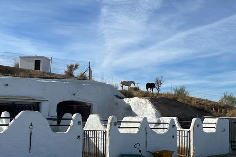 Herregård i Freila, Granada, Freila - € 549 950 | Ref: IZ-709-G - foto 38