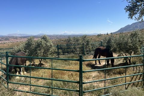 Herregård i Freila, Granada, Freila - € 549 950 | Ref: IZ-709-G - foto 47