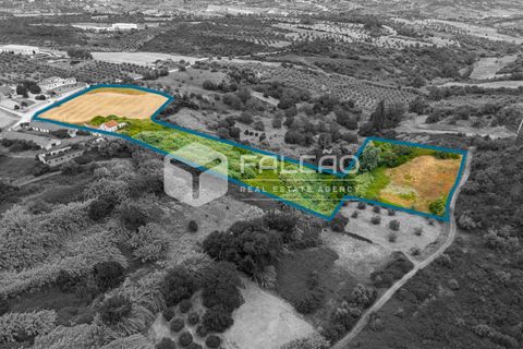 Villa a Rio Maior, Santarem, Rio Maior - € 116.500 | Ref: FR1139 - foto 3