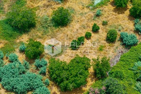 Villa a Rio Maior, Santarem, Rio Maior - € 116.500 | Ref: FR1139 - foto 4