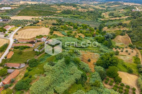 Villa a Rio Maior, Santarem, Rio Maior - € 116.500 | Ref: FR1139 - foto 19