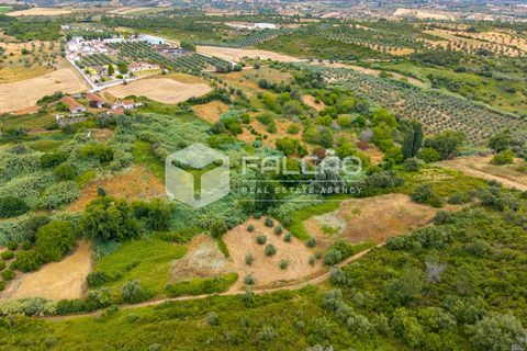 Villa a Rio Maior, Santarem, Rio Maior - € 116.500 | Ref: FR1139 - foto 20