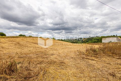 Villa a Rio Maior, Santarem, Rio Maior - € 116.500 | Ref: FR1139 - foto 25