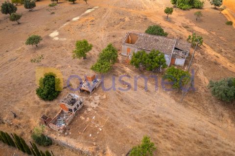 Landejendom i Guia, Faro, Guia - € 480.000 | Ref: X3-03 (PR-027) - foto 31
